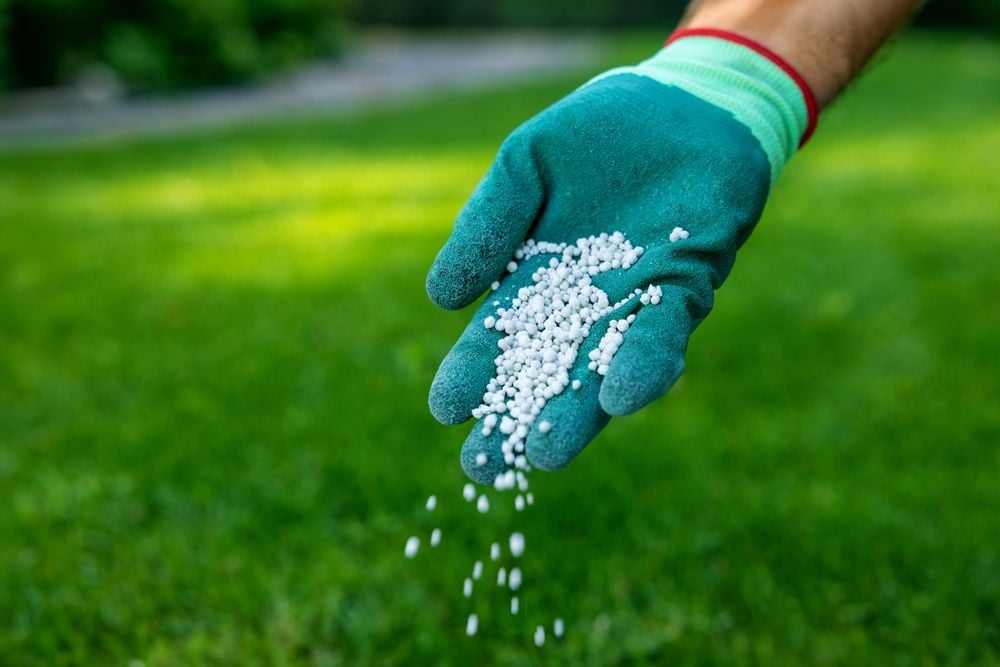Mastering Fertilizer: Tips from the Expert Gardeners