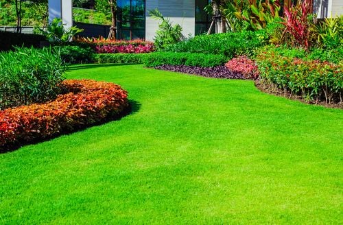 Battle Garden Pests with Natural Weapon: The Nematode