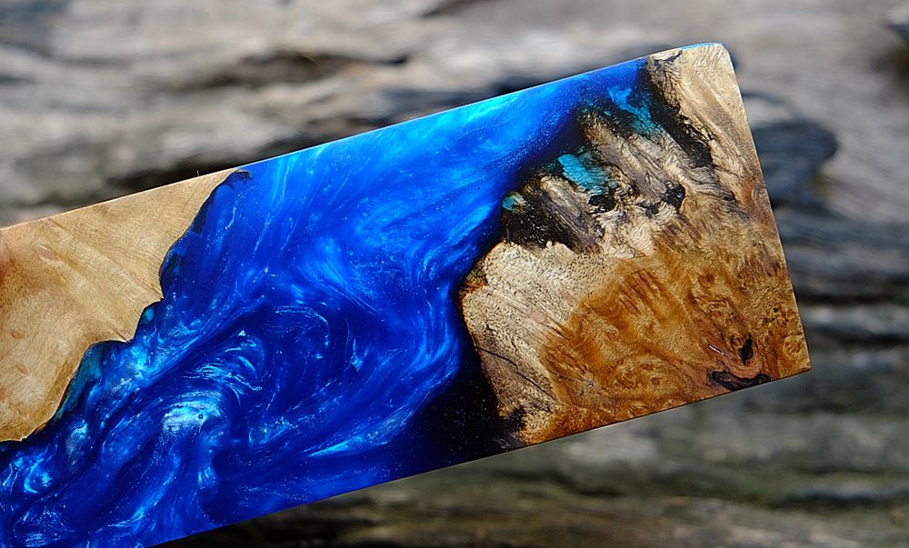 Burl Wood: The Antique Charm Emerging in Modern Homes