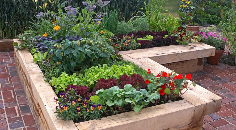 Spruce Up Small Spaces with Raised Garden Beds