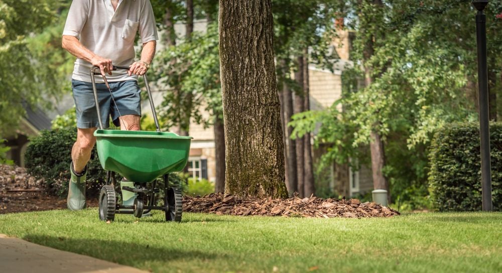 The Right Timing is Key for a Lush Lawn
