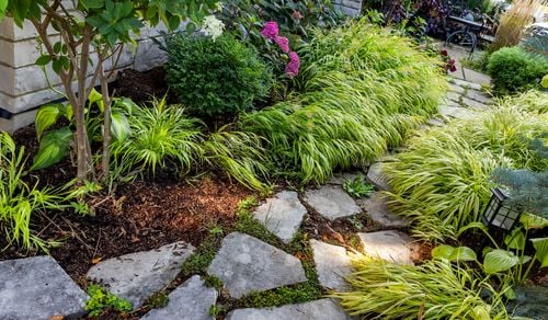 Enliven Your Garden with Shade-Loving Ornamental Grasses