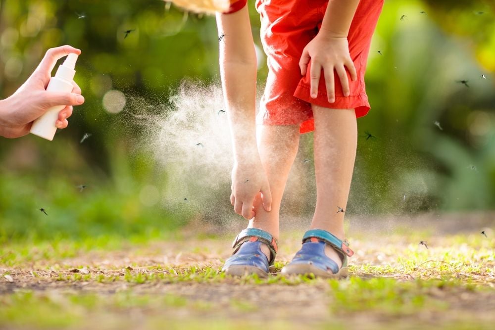 Wage Your War Against Mosquitoes: Expert Tips to Keep Your Yard Bug-Free This Summer