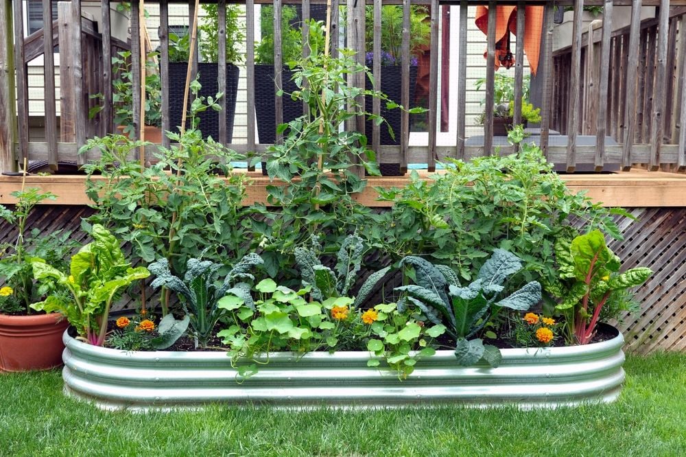 Craft a Modern Green Space: DIY Raised Garden Bed Ideas