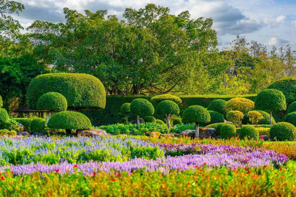 Essential Tips on Trimming Hedges: When and How to Do it